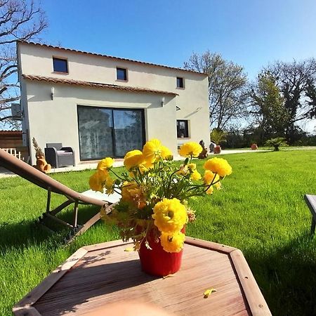 Villa Sandrine, Confortable Et Cosy Proche D'Aix En Provence Meyrargues Exterior photo